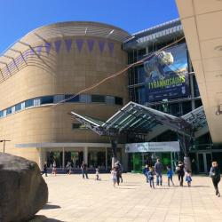 Te Papa Museum, Wellington Accommodation Dallas
