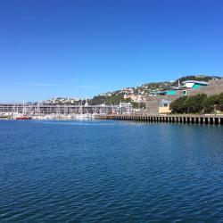 Wellington Accommodation Dallas