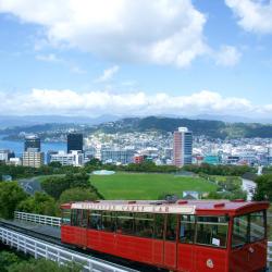 Wellington Accommodation Dallas