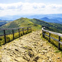 Bieszczady Accommodation Dallas