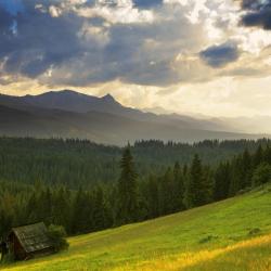 Gmina Bukowina Tatrzanska Accommodation Dallas