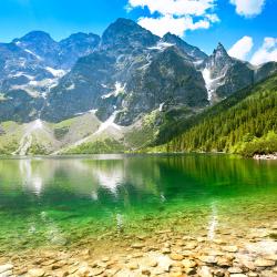 Zakopane Accommodation Dallas