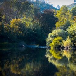 Beira Alta Accommodation Dallas