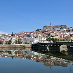 Centro Accommodation Dallas