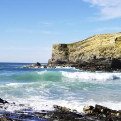 Costa Alentejana Accommodation Dallas