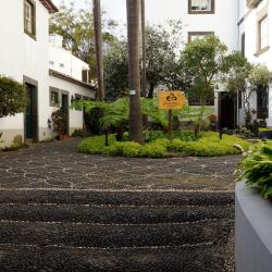 Funchal's Museum of Natural History, Funchal Accommodation Dallas