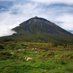 Pico island Accommodation Dallas