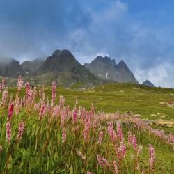 Santa Maria Accommodation Dallas