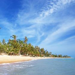 Koh Samui Accommodation Dallas
