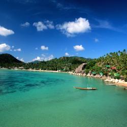 Koh Tao Accommodation Dallas
