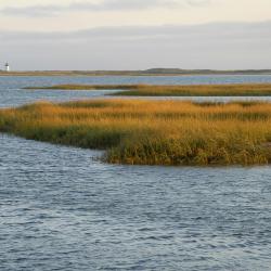 Cape Cod Accommodation Dallas