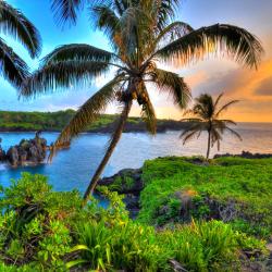Maui Accommodation Dallas