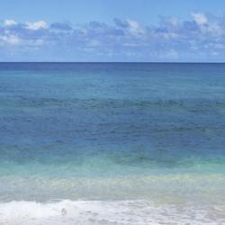 Oahu Accommodation Dallas