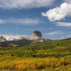 Texas Accommodation Dallas