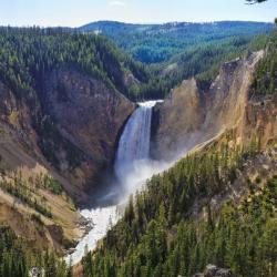 Yellowstone Accommodation Dallas