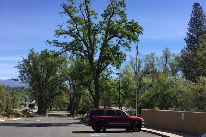 Vista Yosemite Inn Oakhurst - thumb 3