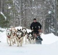 Inn at Stratton Mountain - Accommodation Dallas