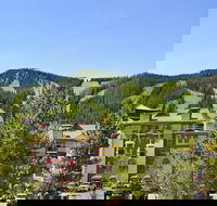 The Vintage Hotel - Accommodation Dallas