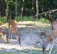 Eureka Suites - Accommodation Dallas