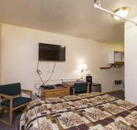 Hibernation House 101 Hotel Room - Accommodation Dallas