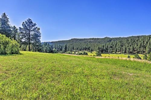 Cozy Rapid City Cabin By Hiking & ATV Trails! - thumb 4