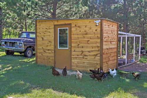 Cozy Rapid City Cabin By Hiking & ATV Trails! - thumb 6