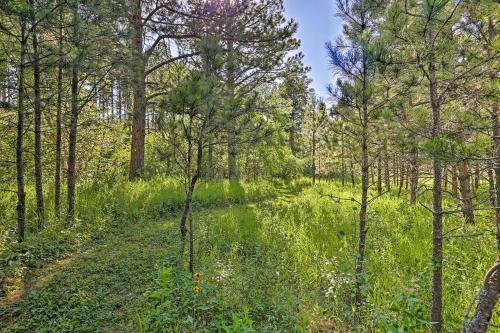 Cozy Rapid City Cabin By Hiking & ATV Trails! - thumb 1