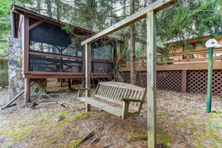 Riverdance On The Toccoa - thumb 4