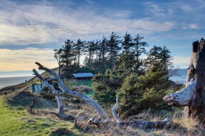 Beaches Inn | Puffins Place Cabana - thumb 2