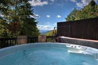 Wildflower Mountain Cottage