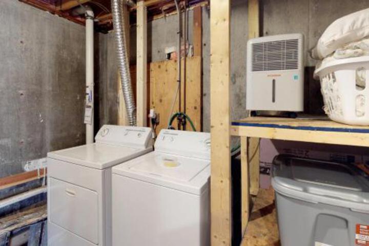 In The Trees - thumb 0