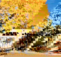 Sedona Pines Resort - Accommodation Dallas