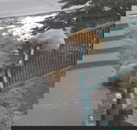 Mountainback at Mammoth - Accommodation Dallas