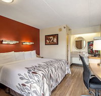 Red Roof Inn Akron - Accommodation Dallas