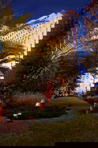 IP Casino Resort Spa - Biloxi