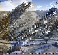 Lodge at Lionshead - Accommodation Dallas