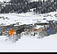 Morning Eagle - Accommodation Dallas