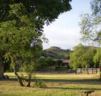 Spirit Tree Inn B  B - Accommodation Dallas