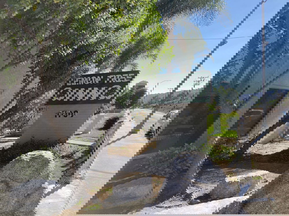 Lemon Tree Inn - thumb 0