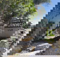 Lemon Tree Inn - Accommodation Dallas