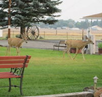 Rim Rock Motel - Accommodation Dallas