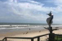 Book Cities Accommodation Vacations, Accommodation Dallas Accommodation Dallas