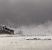 TroutHunter - Accommodation Dallas