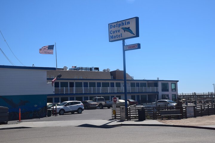 Dolphin Cove Motel - thumb 4