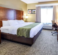 Comfort Inn Plover-Stevens Point - Accommodation Dallas
