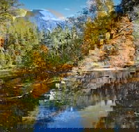 Scenic Wonders Lazy Bear Lodge 4 Bedroom - Accommodation Dallas