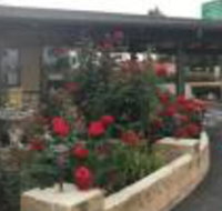 Town  Country - Accommodation Dallas