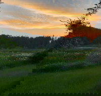 Otters Pond Bed  Breakfast - Accommodation Dallas