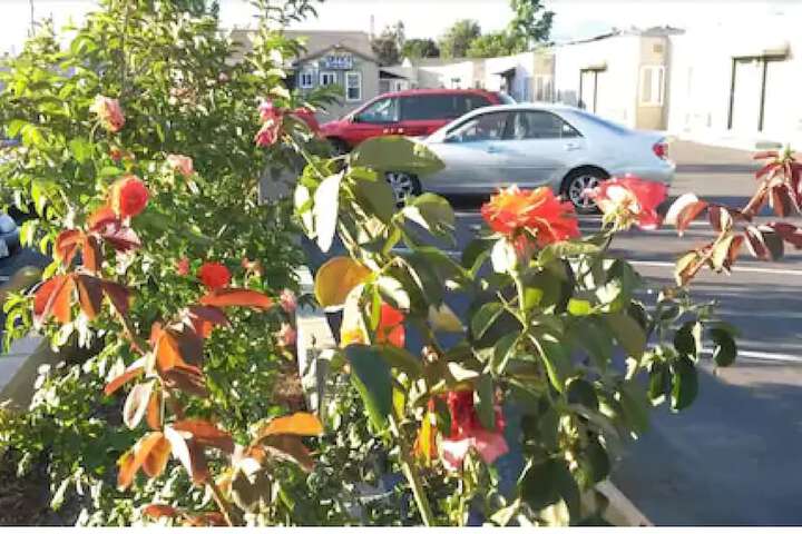 Deluxe Motel - thumb 3