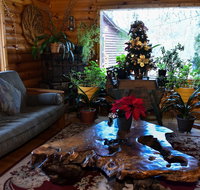 Xenia Resort - Accommodation Dallas